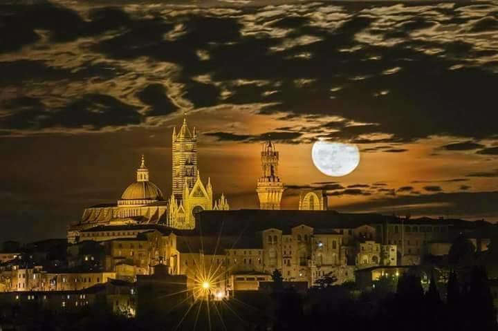 Agriturismo Colombino Siena Exteriér fotografie