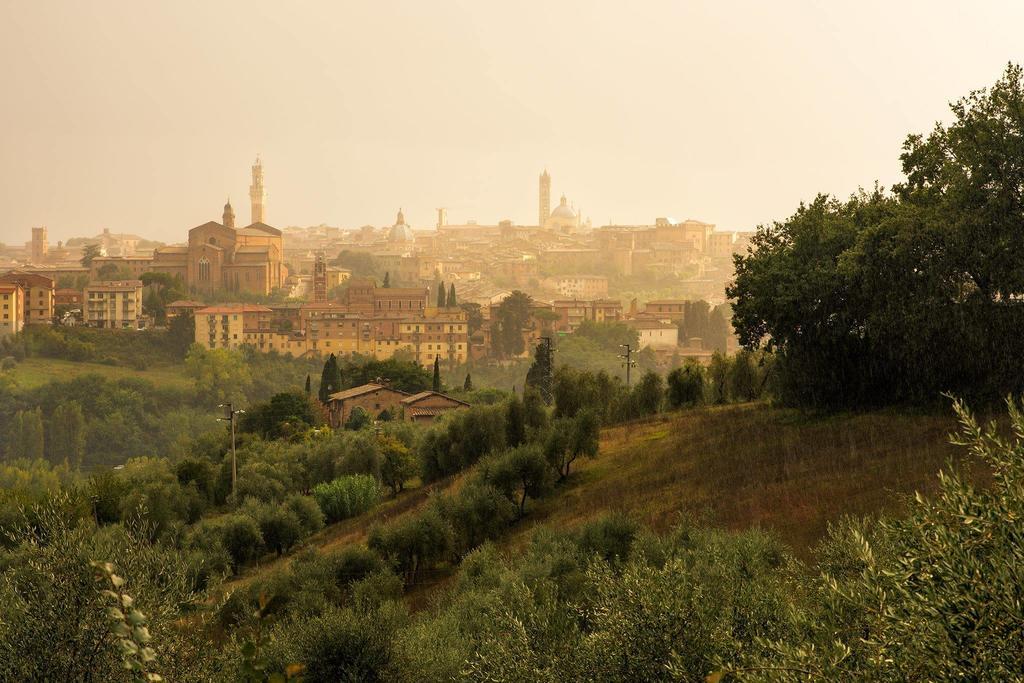 Agriturismo Colombino Siena Exteriér fotografie
